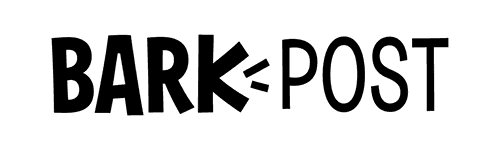 barkpost-logo copy barkpost logo copy